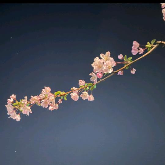 等