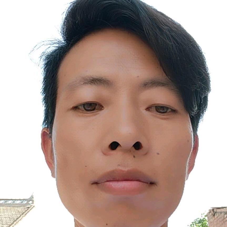 沉默的鱼