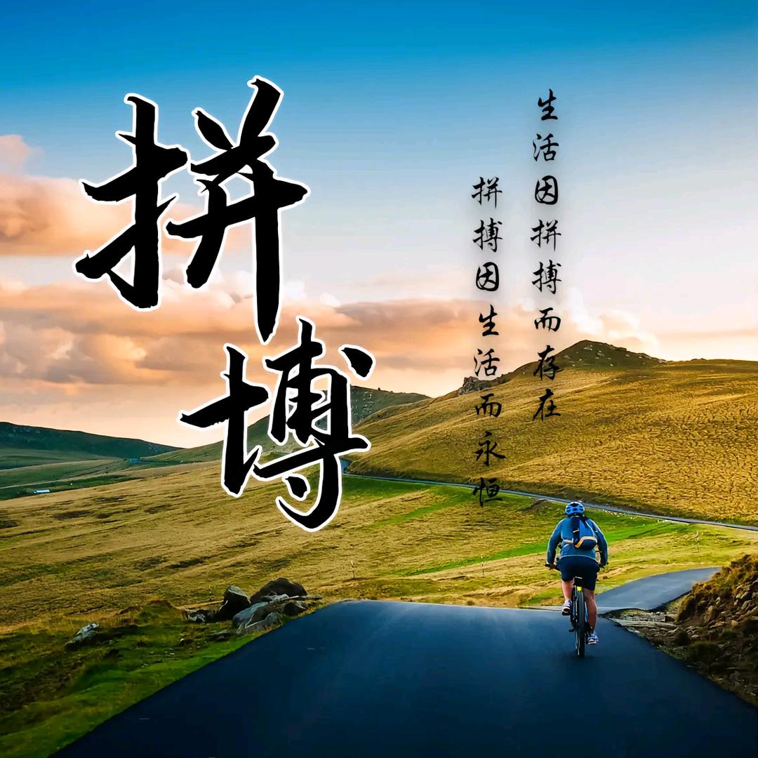 我的未来我决定