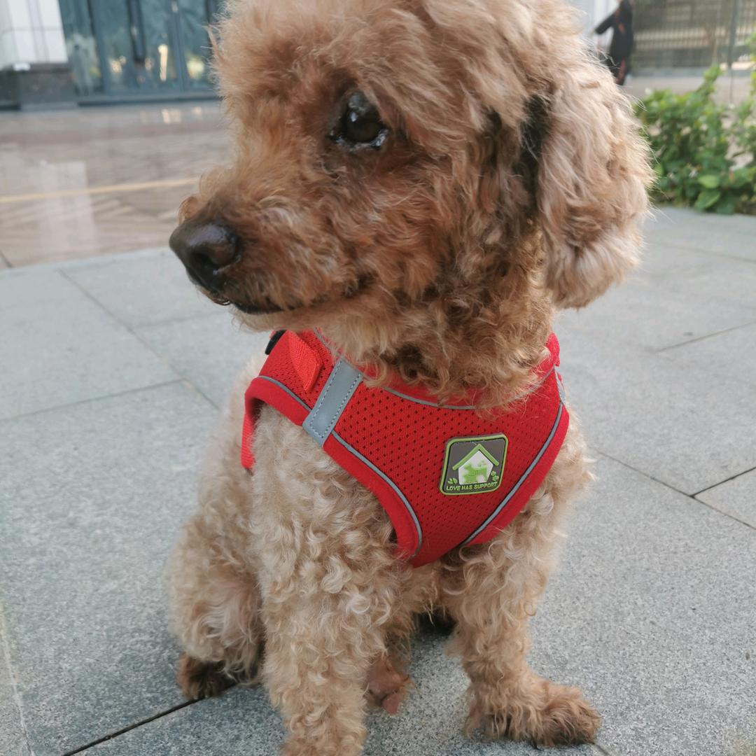 沉默是金g