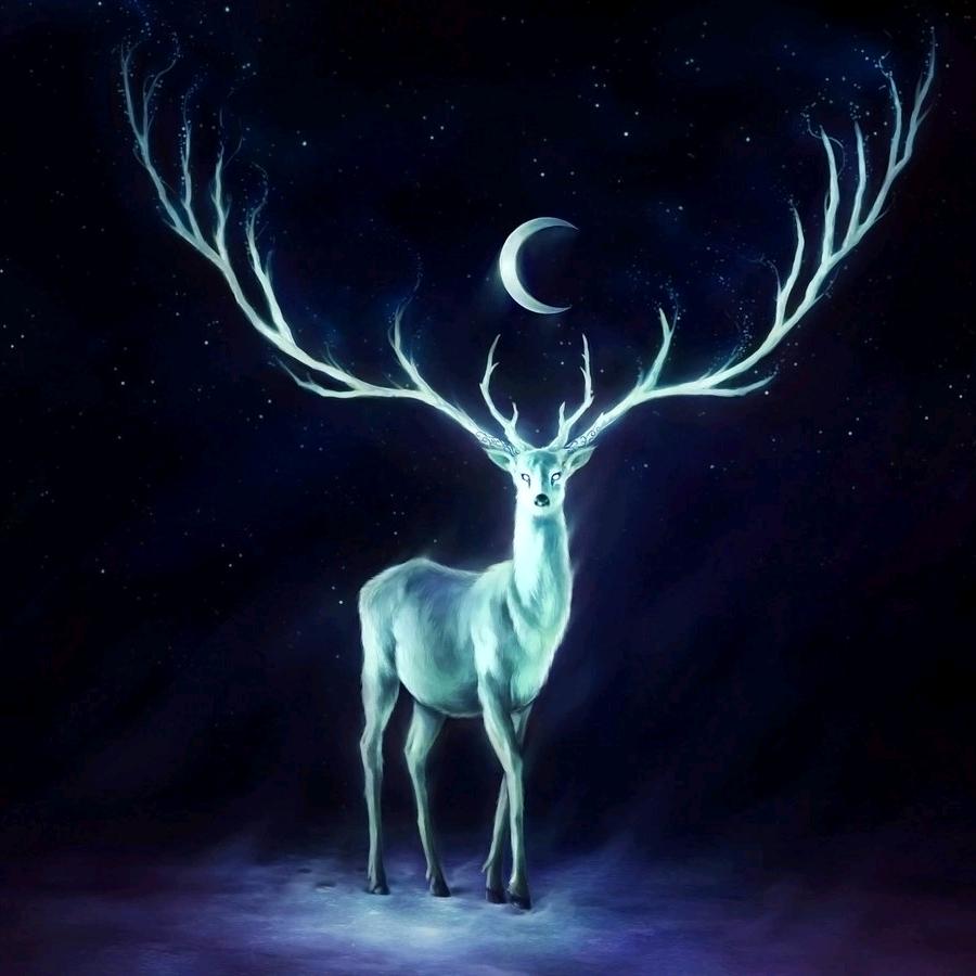 林deep时见deer头像