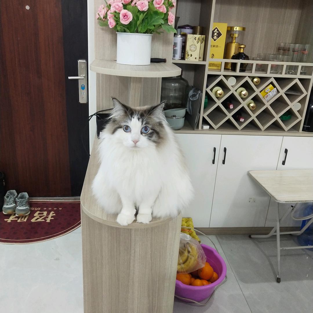用户江南