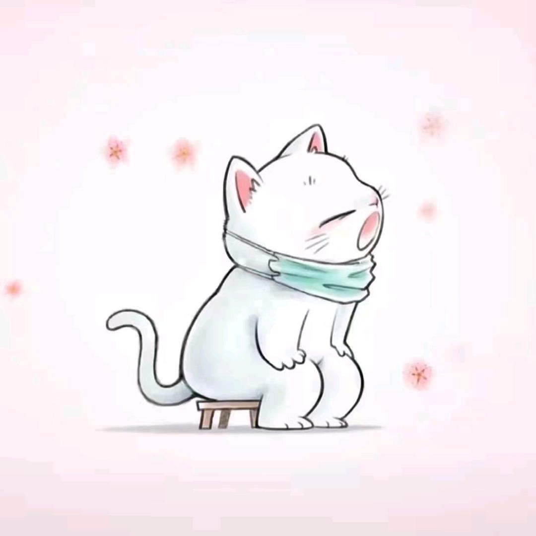 沈辞