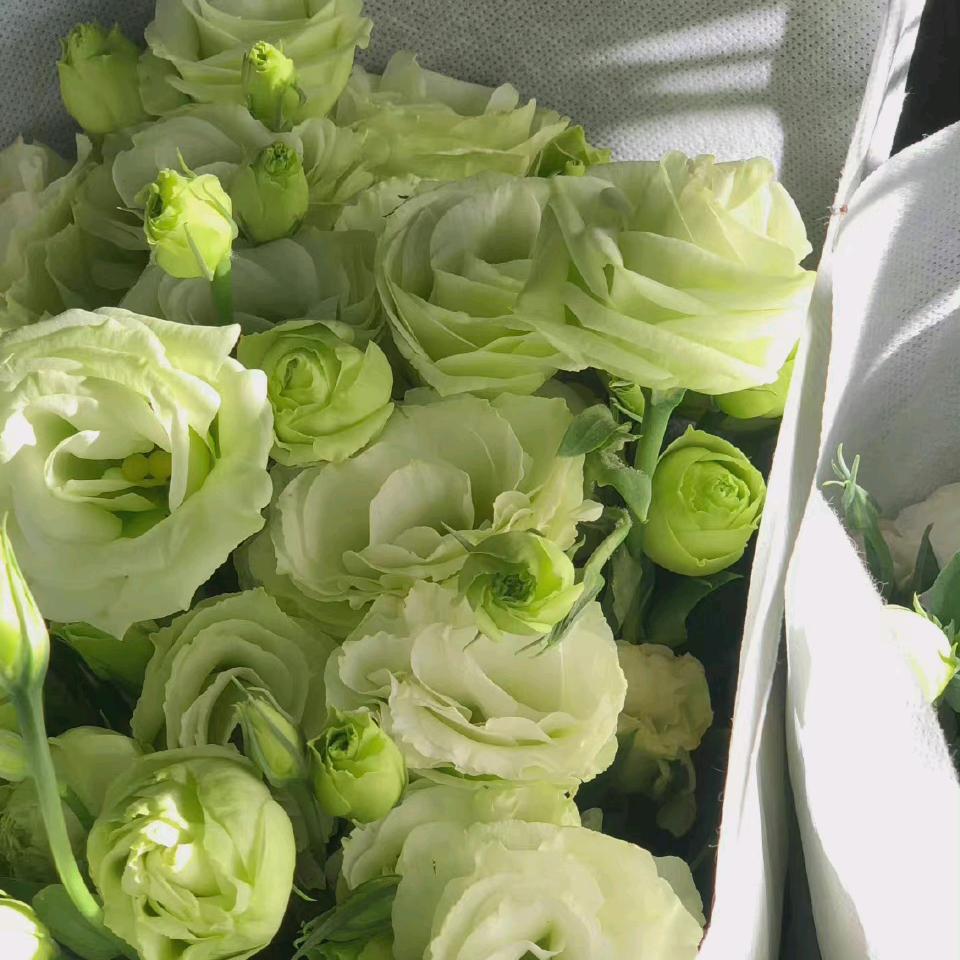 陪时间写一段回忆