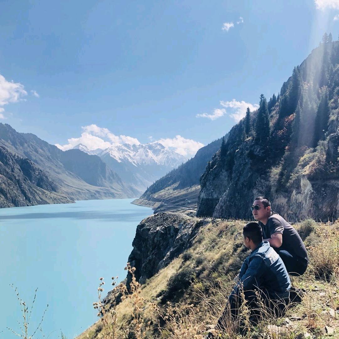 其实我是一只羊