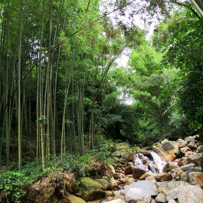 大禾地四爷