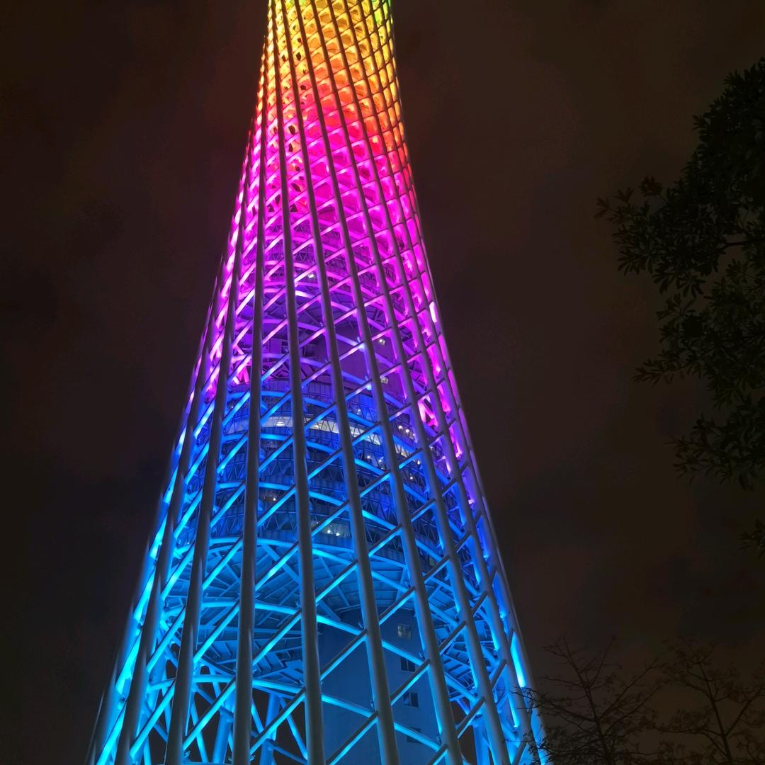 莫里斯0599