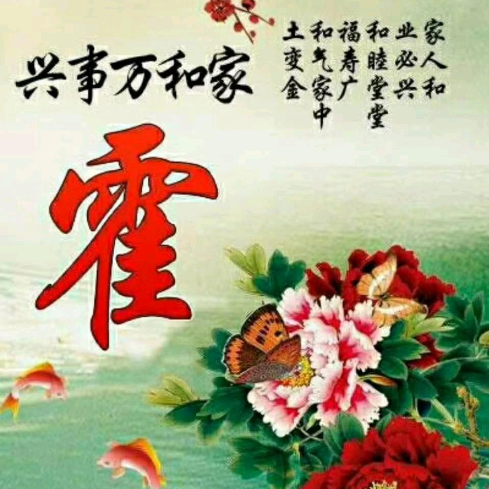 威海铲水泥顶铲腻子~霍