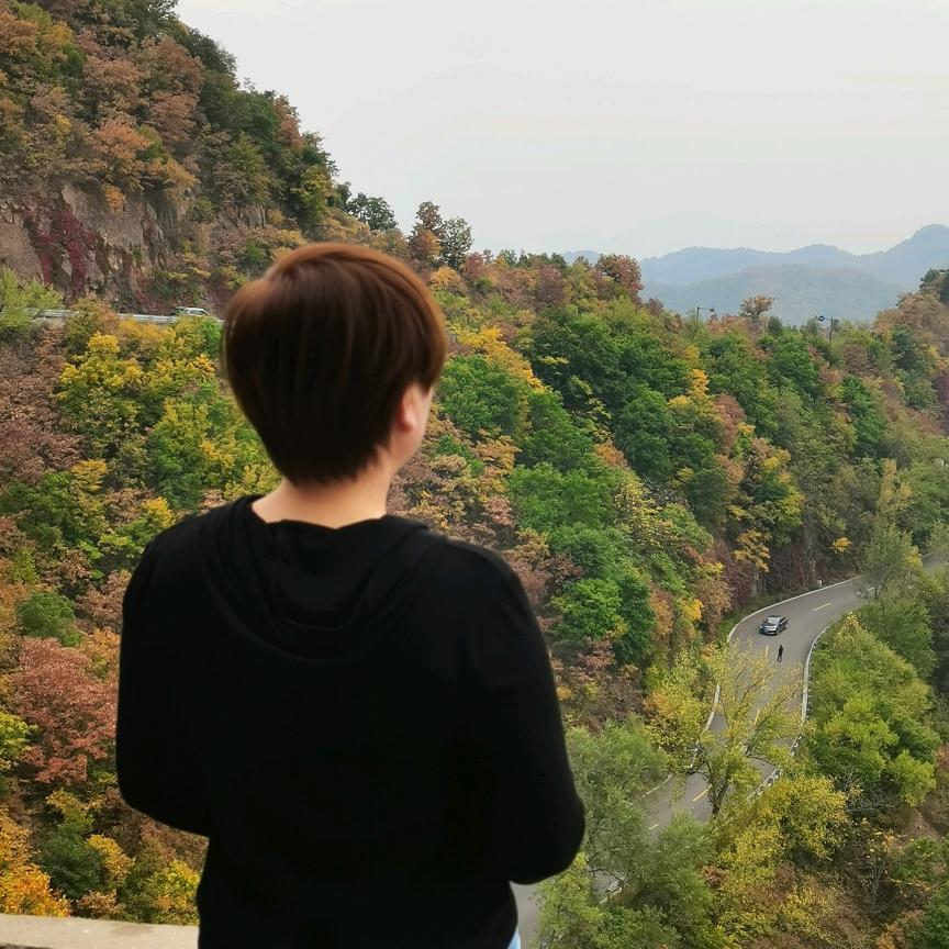 纯美小鱼儿