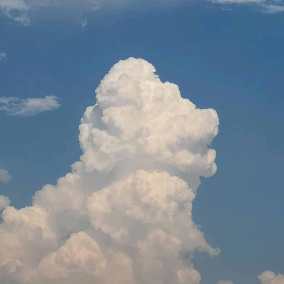 休⭕️言