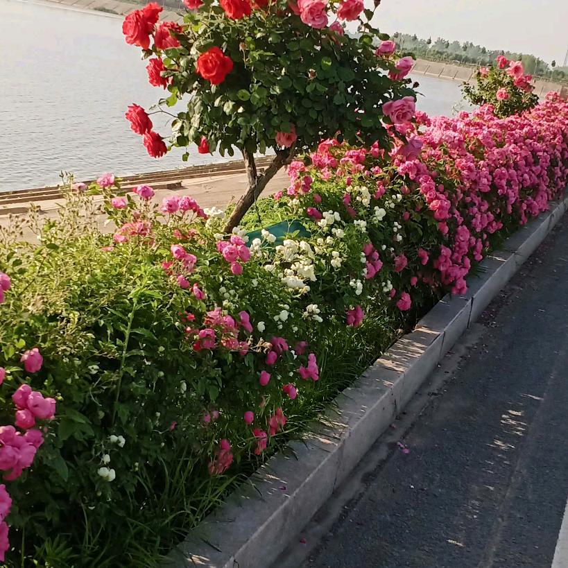 幸福快乐的一家四口人