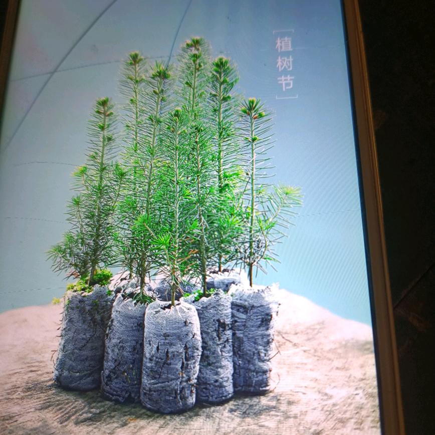 慢慢人生