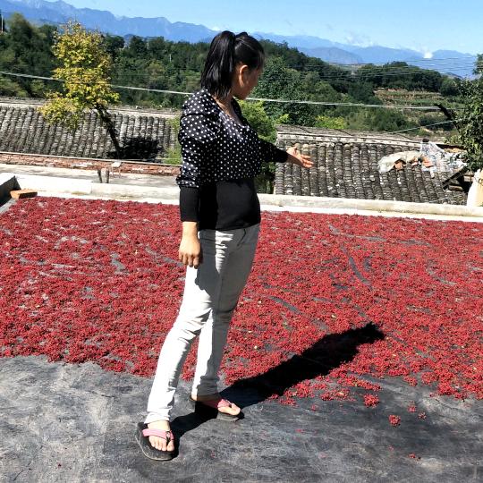 微笑的燕子