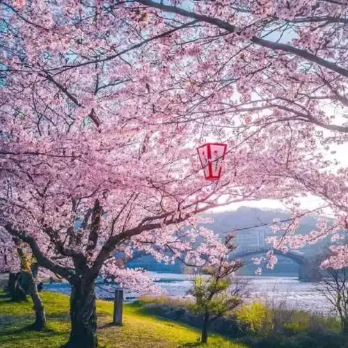 か夏夜的琉璃♛