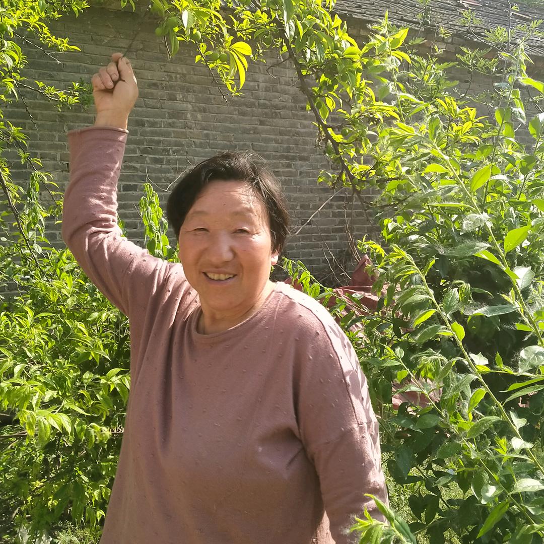 乡村大妈
