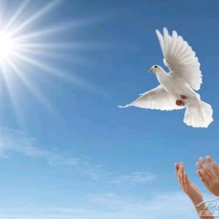 那些有趣的灵魂