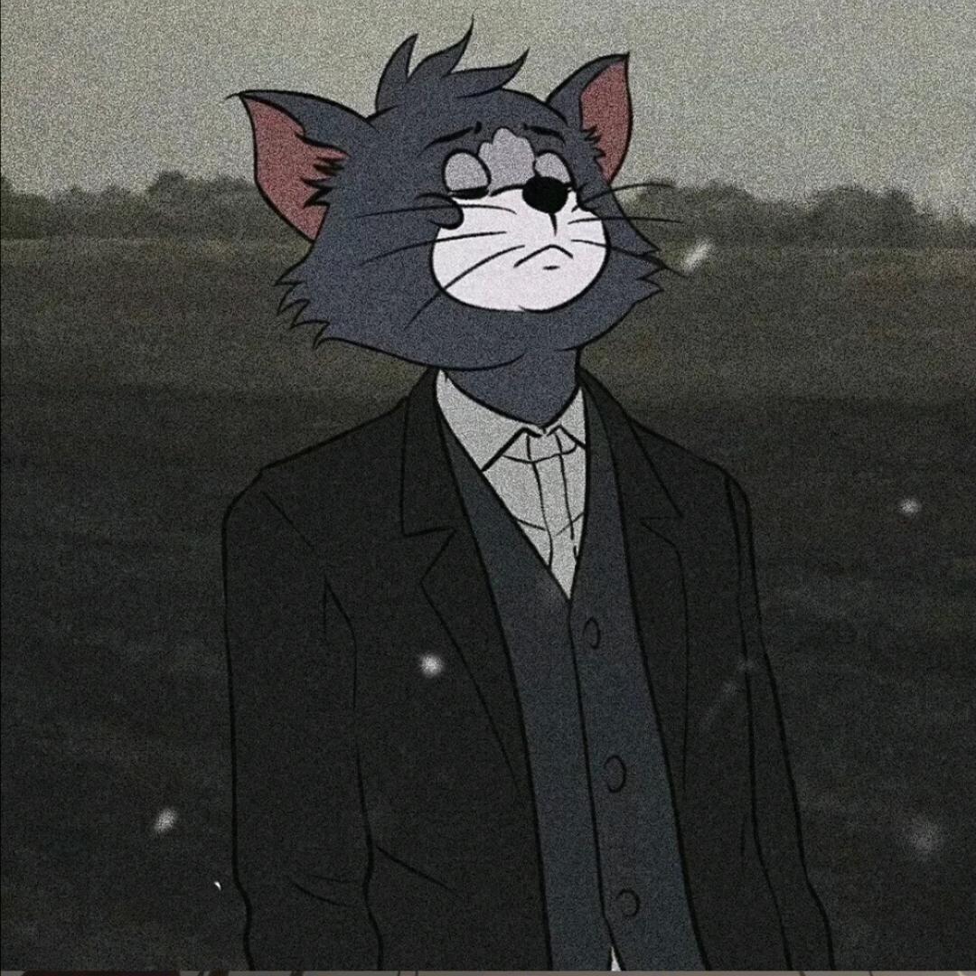 张展鹏