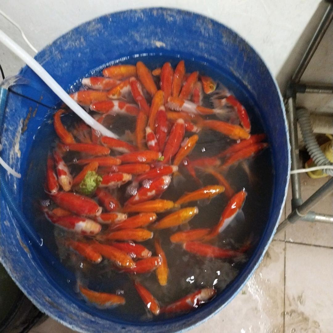 下个路口等你。