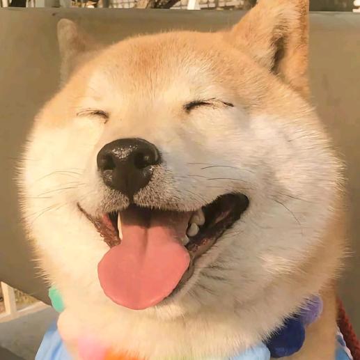 爆笑可乐