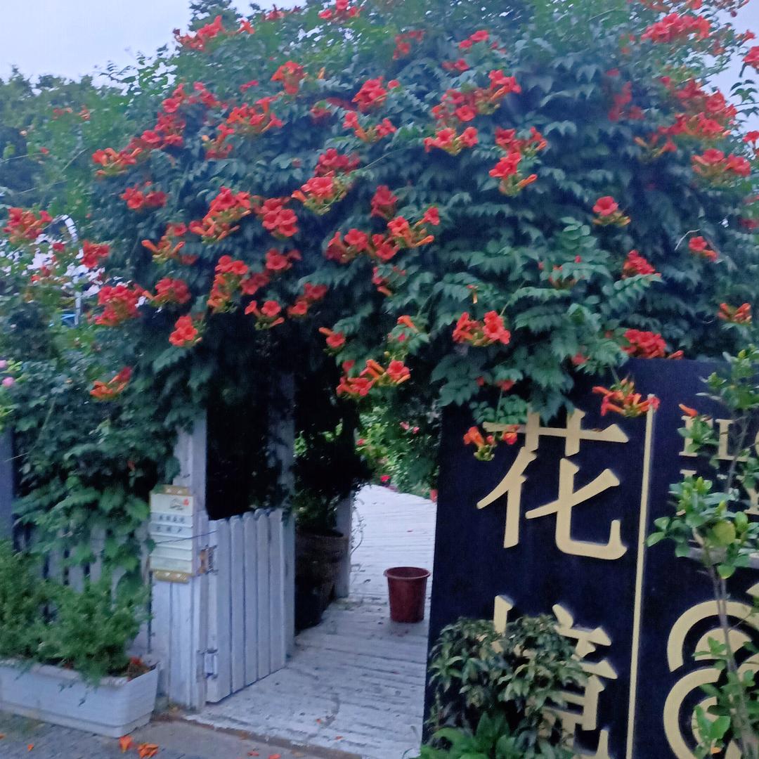 宇康木业