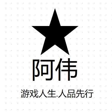 阿伟网络技术工作室