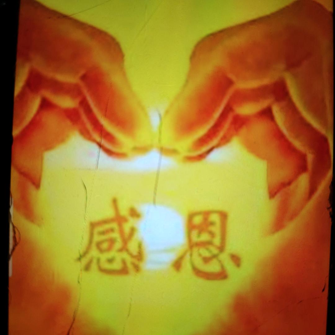 用户5131760208726