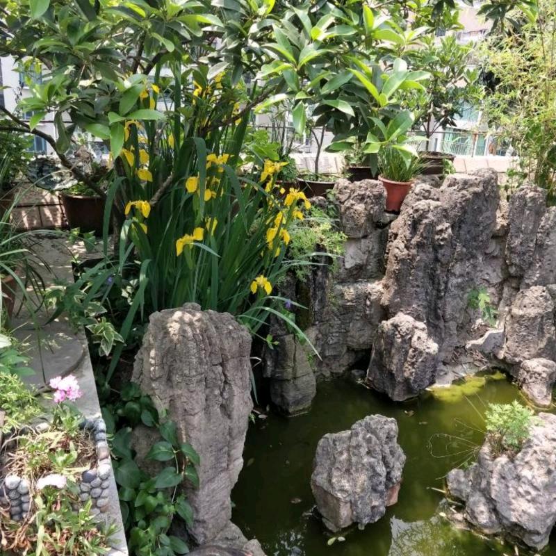 啊明
