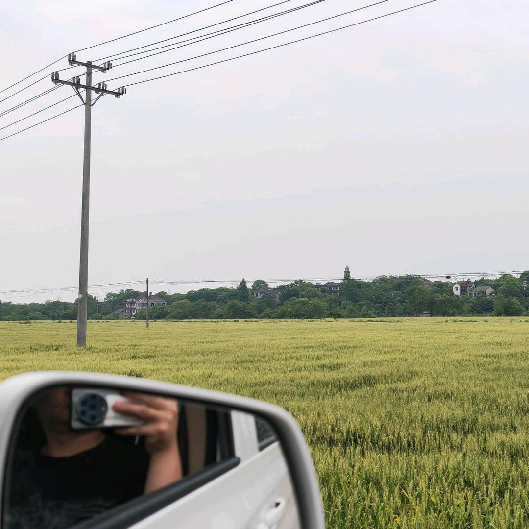 海。