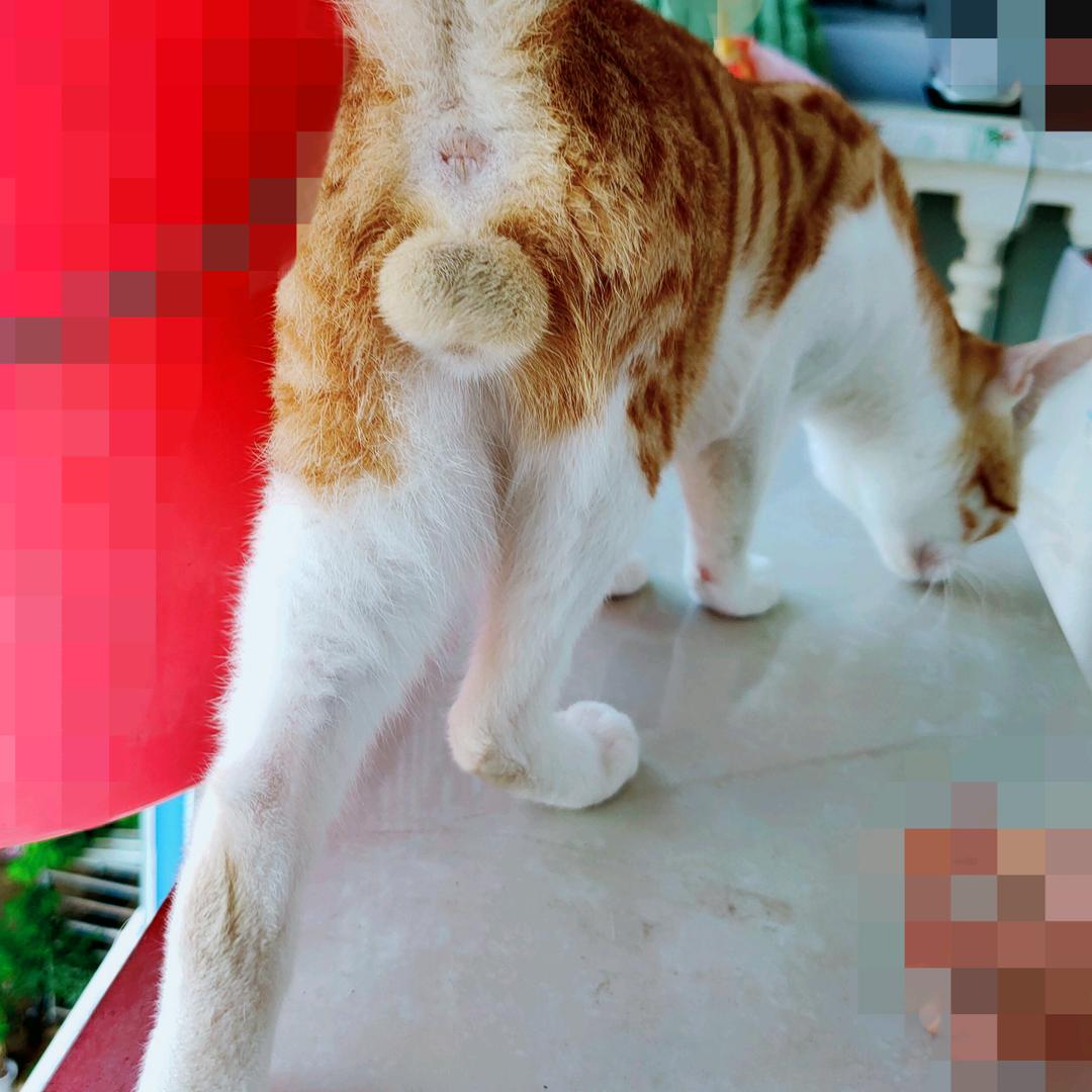 不才……