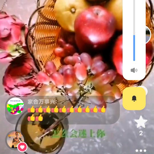 英君兰紫   (拒私聊、合拍)