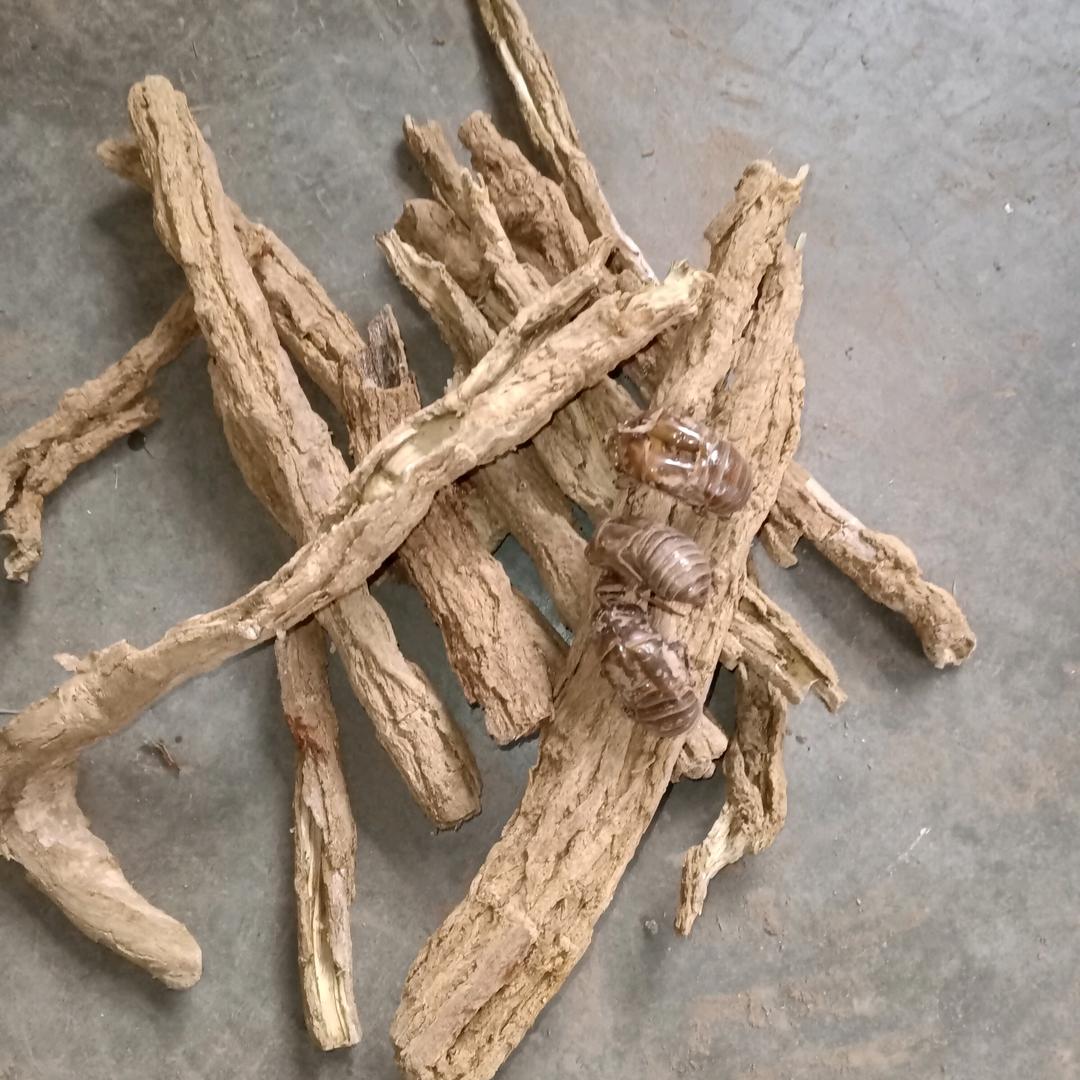 双林中药材