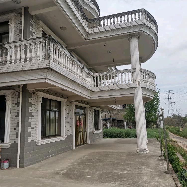 江苏九哥《飞虎队 》