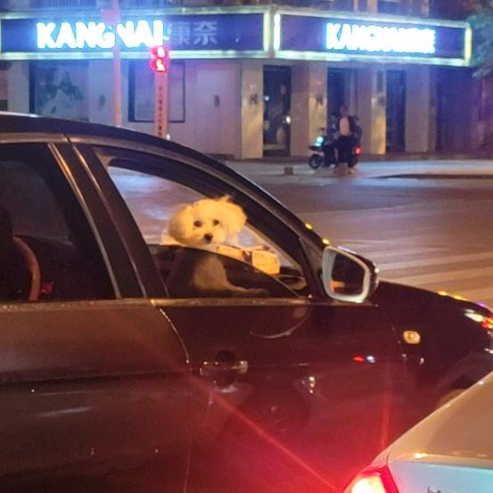 合肥健身汪教练【热能健身·天鹅湖万达店】