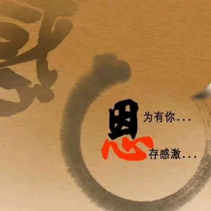 雨雨网红工作室