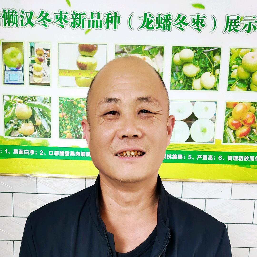 北方龙，龙蟠冬枣
