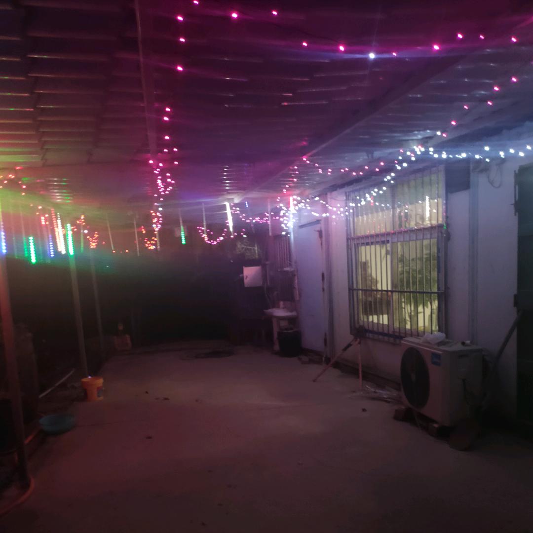 幸福树