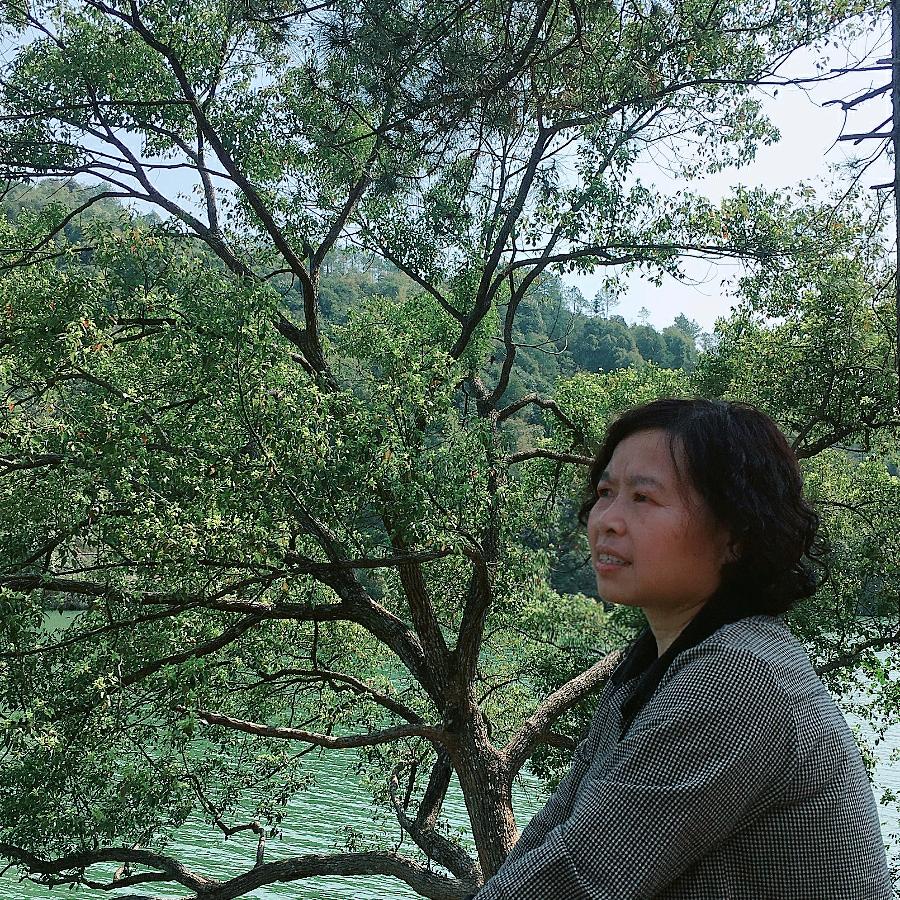 陈陈