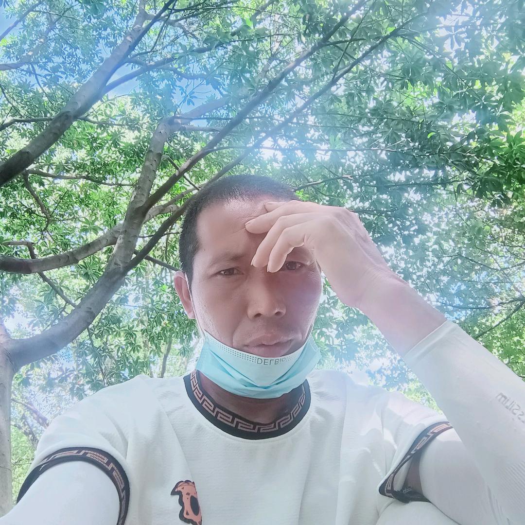 心累离（花）