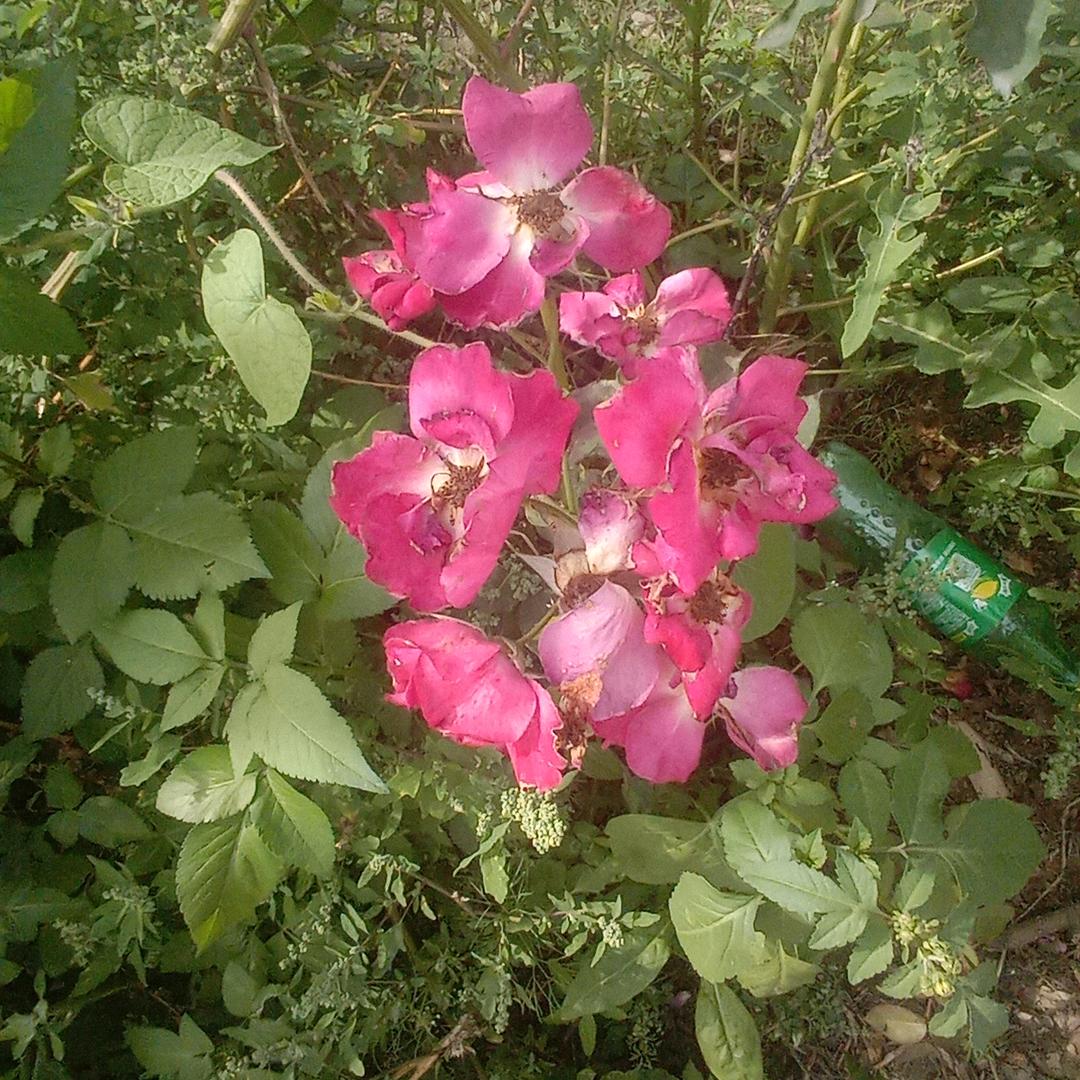 生意兴隆
