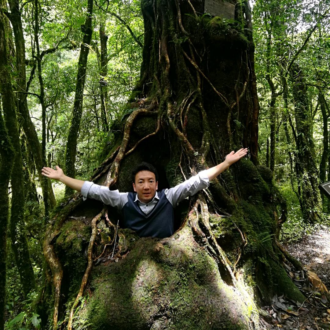 用户∴人在旅途