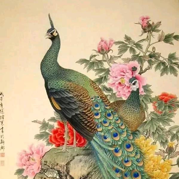 华仔