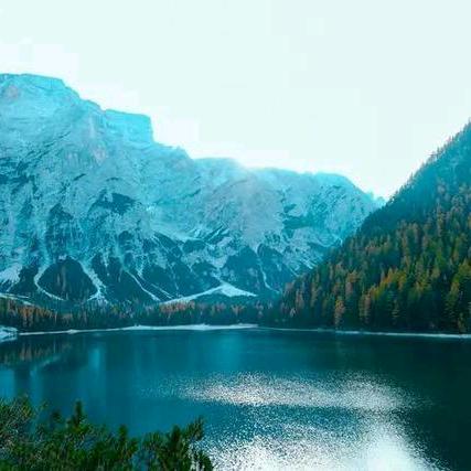 安全管理层