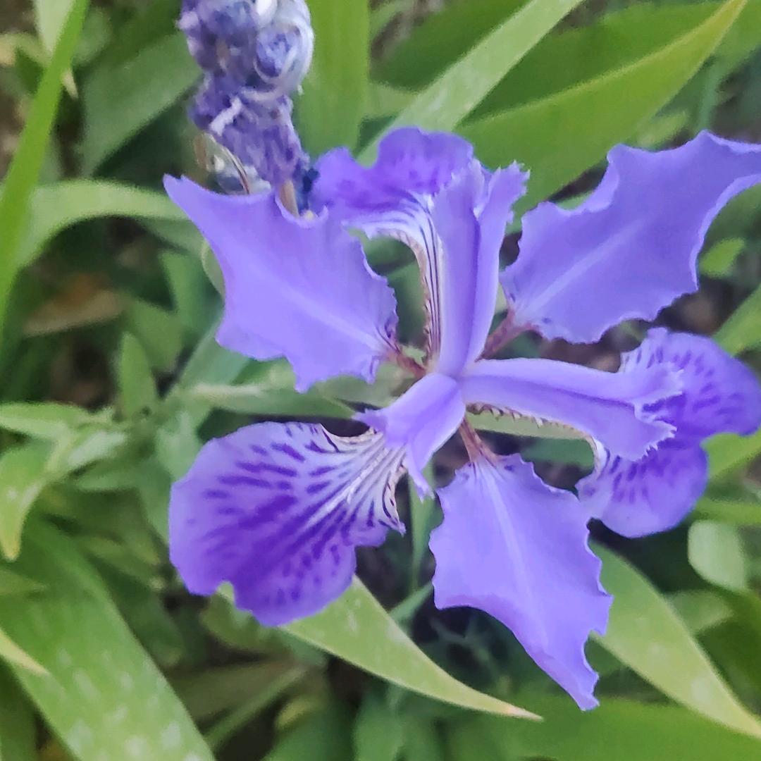 一张不够花啊