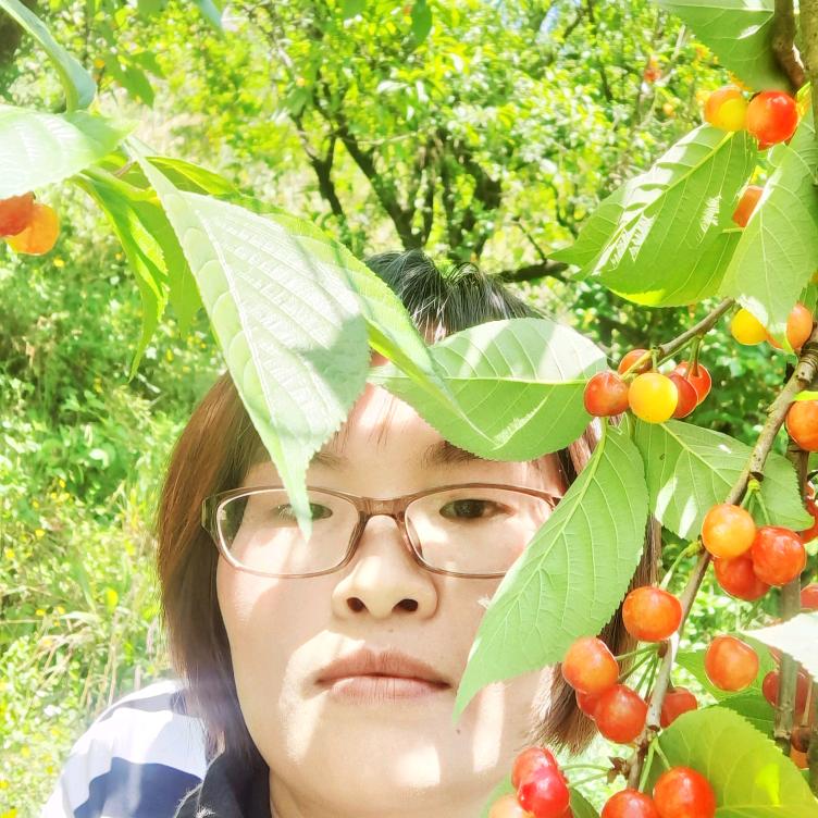 捕捉快乐