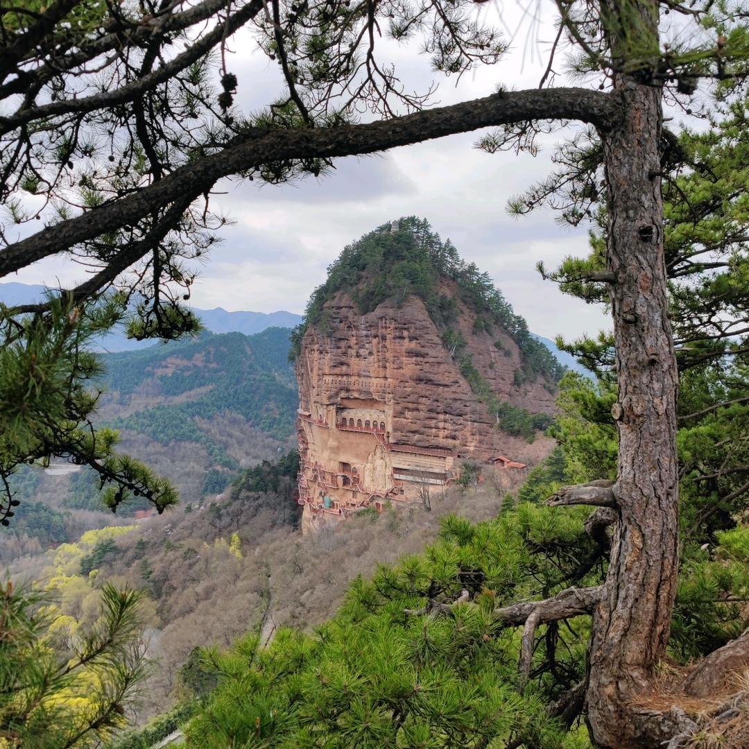 麦积山小瑛