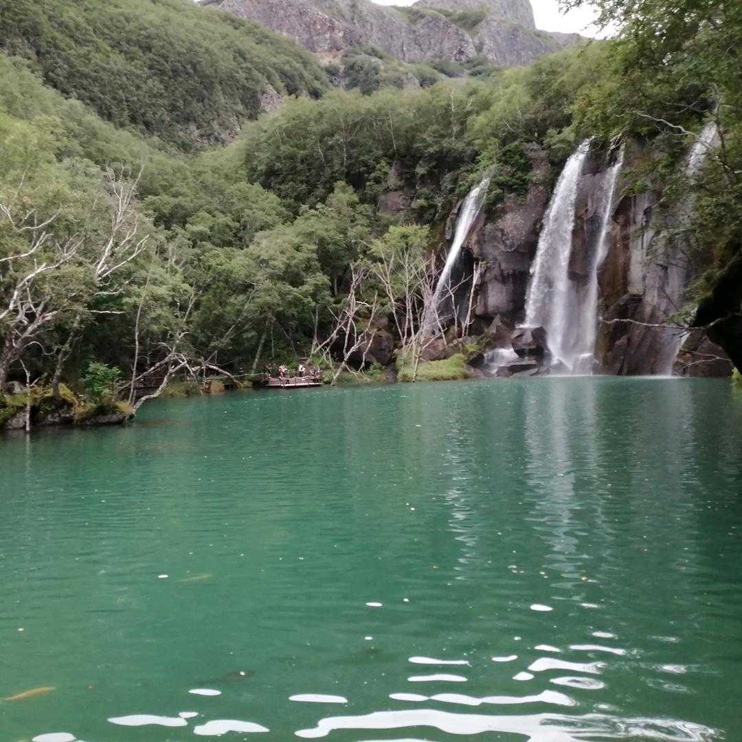 雨花台大丁