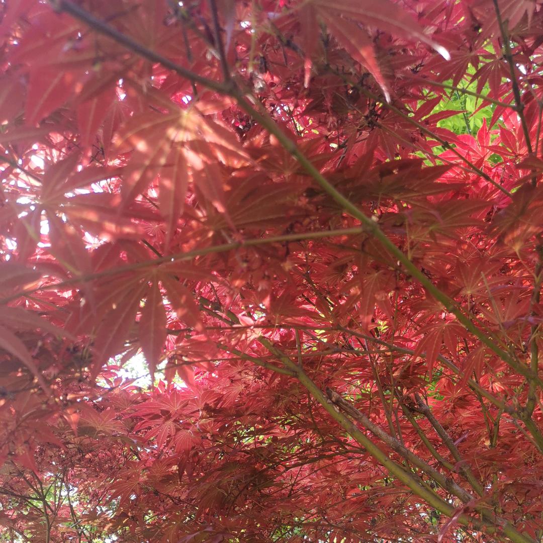 ঞ᭄财来运转ꦿഒᩚ࿐