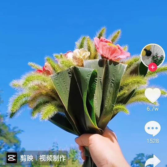 木子(๑˙❥˙๑)