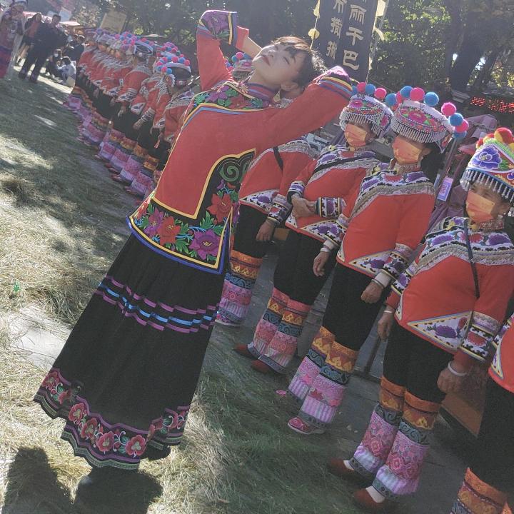 元谋晓飞燕