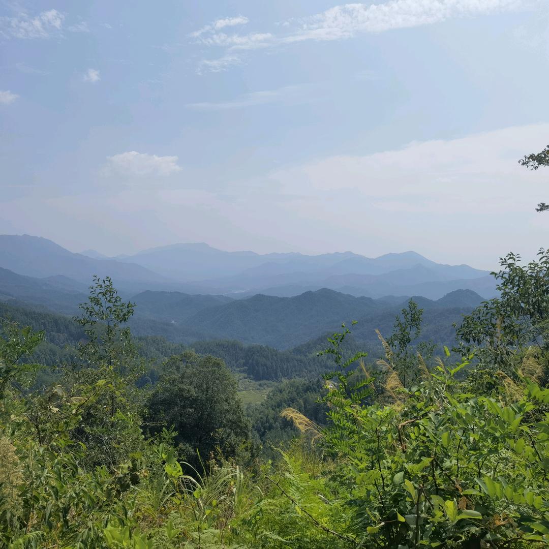 静思🐉🐉🐉